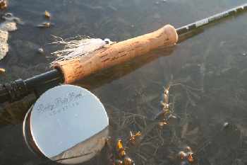 vieux  loup de mer