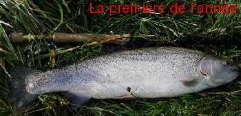 La 1�re de l'ann�e