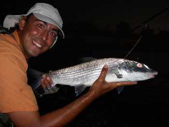 Bonefish 6.750 lbs à la dernière minute