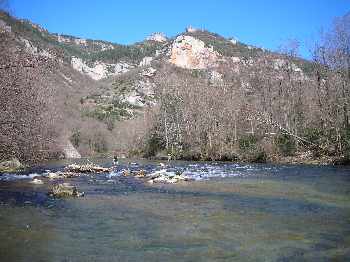 belle Dourbie