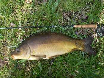 Carpes jackpot