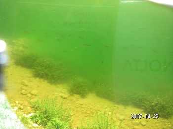 Reservoir de montaut