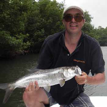Snooks, tarpons et autres ...