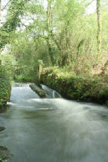 Echo du ruisseau