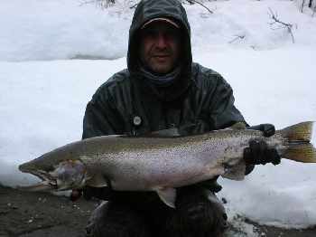 Steelhead Paradise