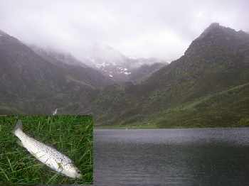 ouverture des lacs