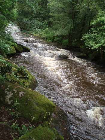 que d'eau, que d'eau