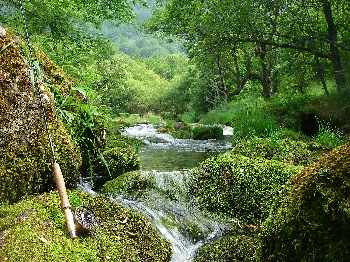 Au pays de l'eau