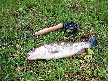 parcour mouche de la rance