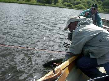 Un we dans le cantal