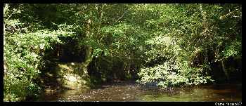 De l'eau..