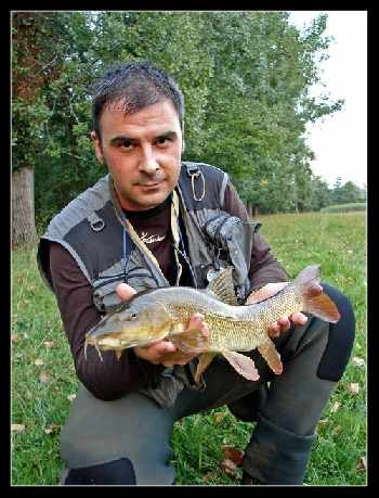 Le premier Barbeau de Lionel