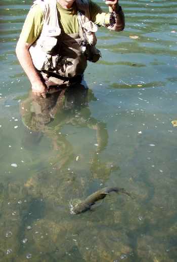 Enfin on pêche !!!