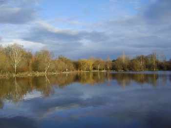 Nettoyage des berges