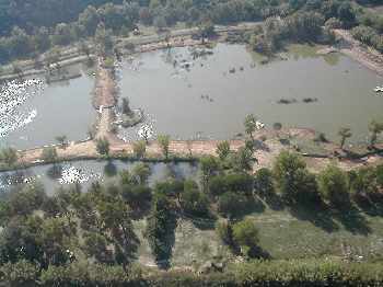 reouverture de SAUVEBONNE