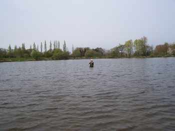 Le ruisseau coule
