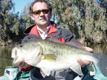 Ola, los pescadores a la mosca,