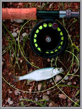 faute de temps clément
