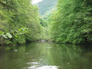 Belle d�couverte