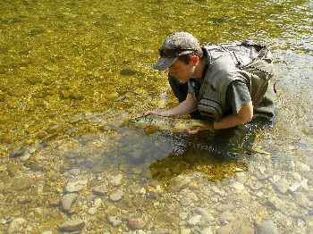 La Bienne fait des siennes