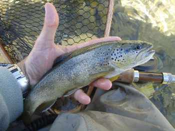 congé au bord du guil