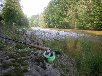 Pêcheur sans bavière !