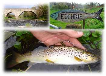 Euchrie's Delight