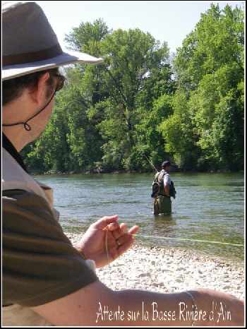 S�r�nit� sur la Basse Rivi�re d'Ain