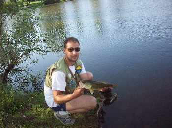 black bass party