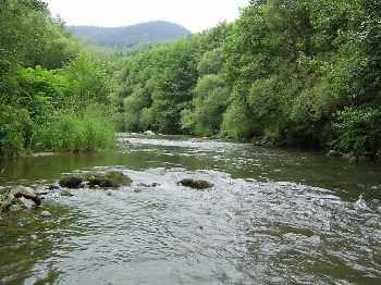 sympathique vosges