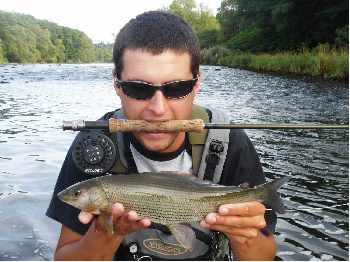 The ace of Grayling