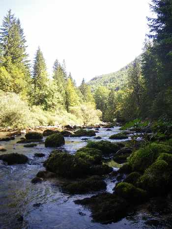 Dans le demi-jour des gorges.