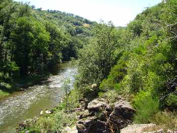 Sa vieille canne