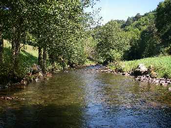 Wiese : Allemagne Foret Noire