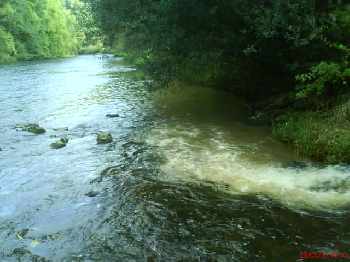 Triste sire et triste Sûre