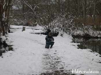 de la neige mais des poissons !