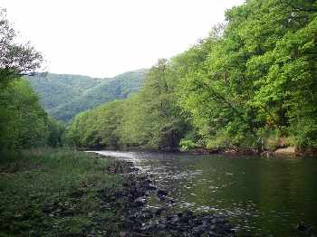 Reprise sur la Sioule