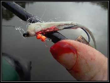 Brochet à la mouche