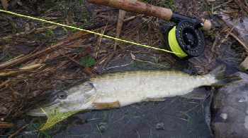  peche mouche Rh�ne