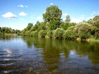 L'ombre redescend sur la riviÃ¨re