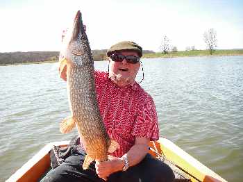 Pike à la mouche