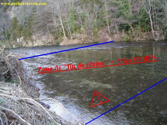 Fray�res � truite
