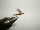 Montage de mouches