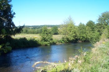 Huisne - Boissy-Maugis - p�che � la mouche