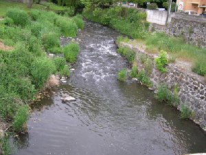 Dolaizon (ruisseau) - Vals pr�s le Puy - p�che � la mouche