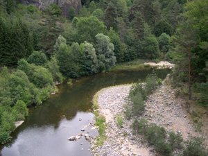 Loire - Pont de Soubrey - p�che � la mouche