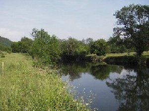 Loue - Ornans, au dessus du barrage de la Tricote - p�che � la mouche