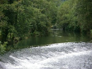 Albarine - Chaley - p�che � la mouche