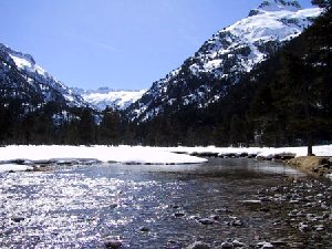 Gave du Marcadau - Cauteret - p�che � la mouche