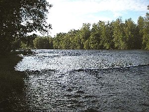 Dordogne - Beaulieu sur Dordogne - pêche à la mouche